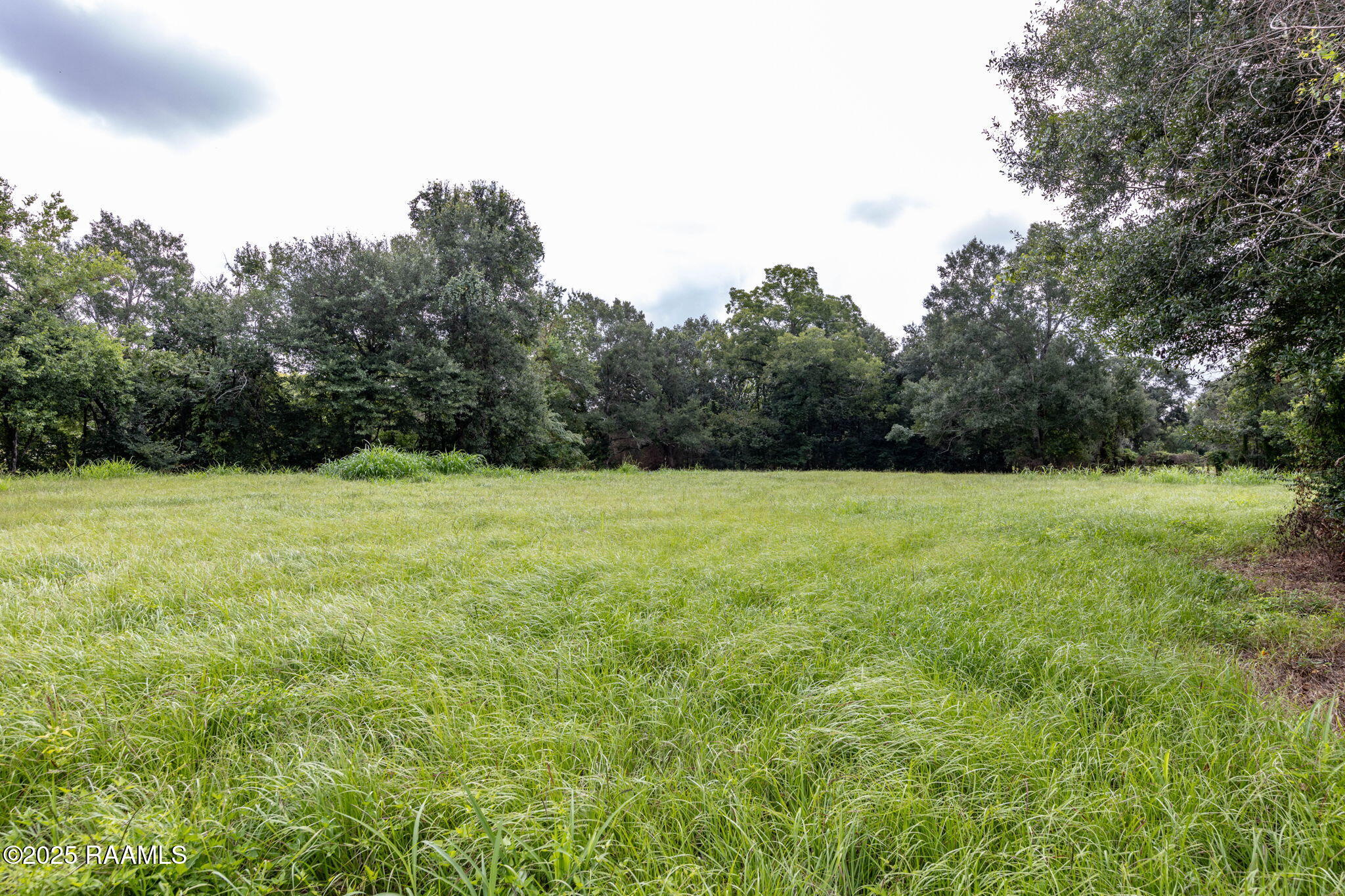 4013 Woodlawn Road Maurice, LA 70555 - Photo 19 of 22 15-web-or-mls-803A9852