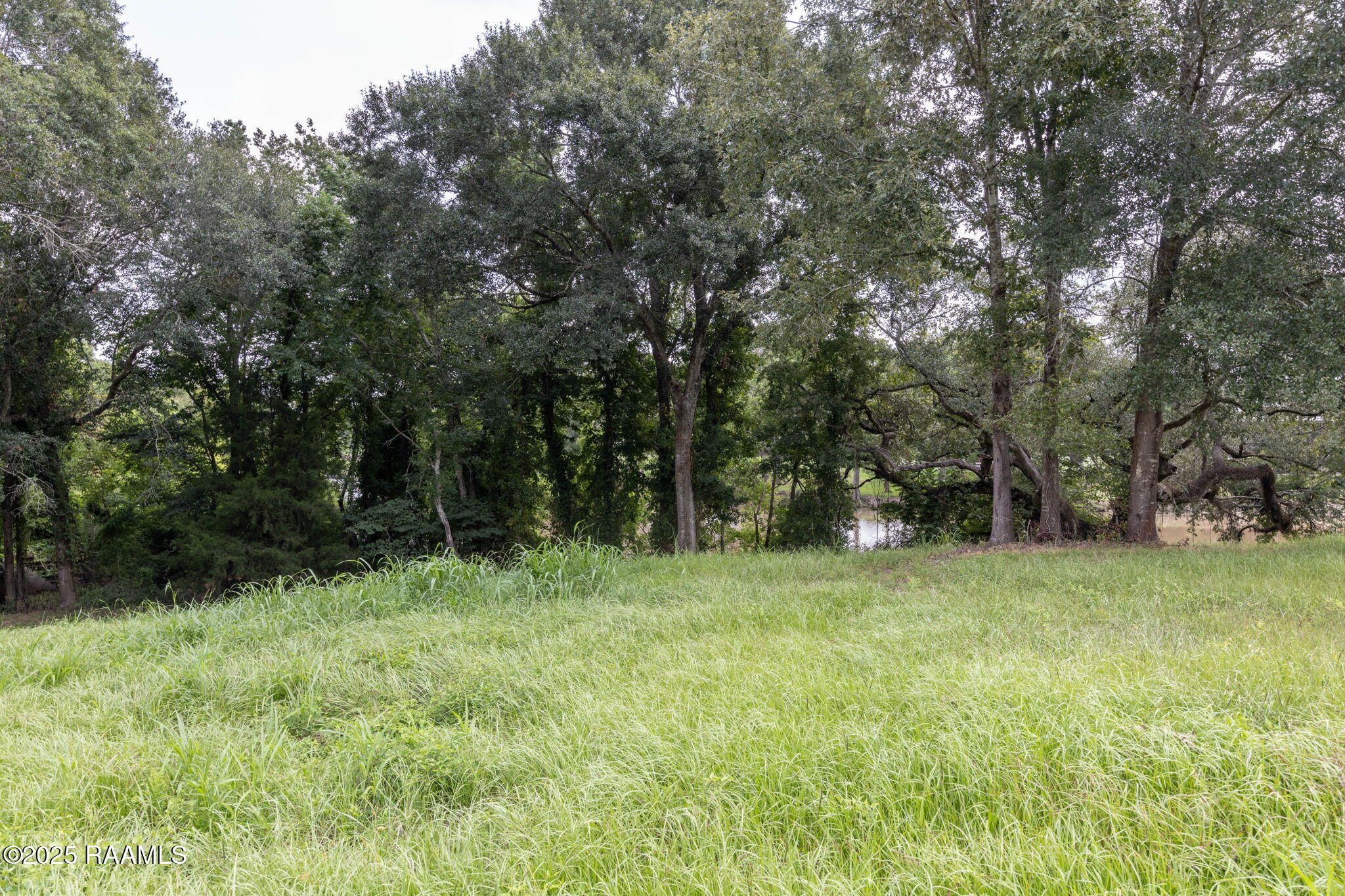 4013 Woodlawn Road Maurice, LA 70555 - Photo 20 of 22 16-web-or-mls-803A9854