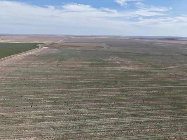 $1,092,420 | 364.14 Acres Pullman Road, Claude, TX 79019