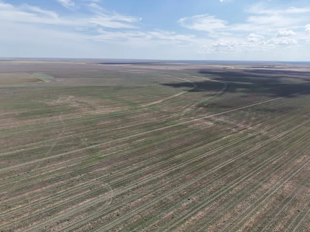 $1,092,420 | 364.14 Acres Pullman Road, Claude, TX 79019