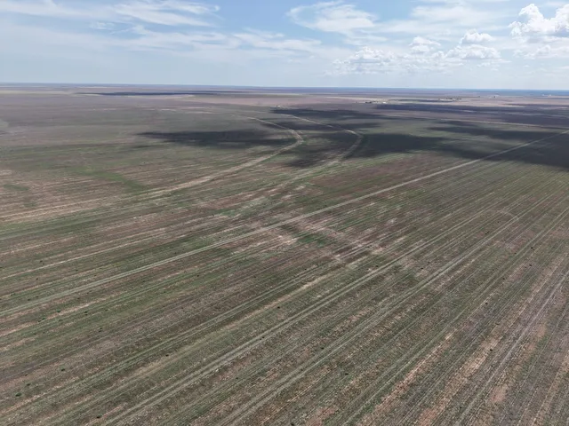 $1,092,420 | 364.14 Acres Pullman Road, Claude, TX 79019