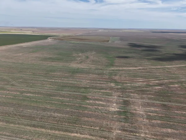 a view of an ocean beach