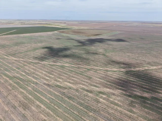 $1,092,420 | 364.14 Acres Pullman Road, Claude, TX 79019