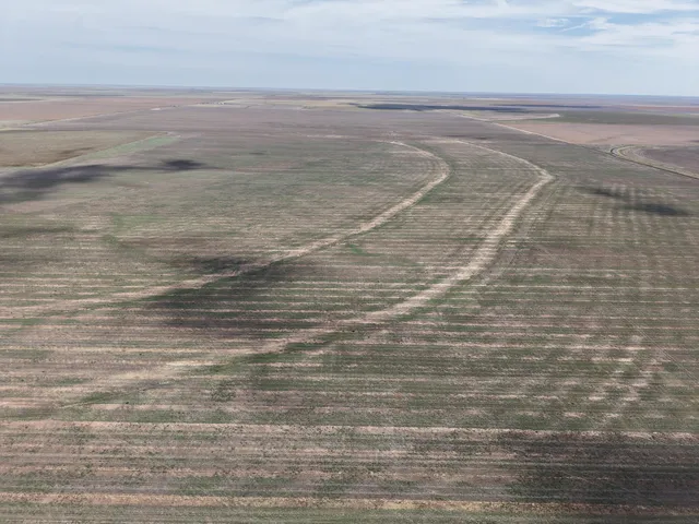 $1,092,420 | 364.14 Acres Pullman Road, Claude, TX 79019