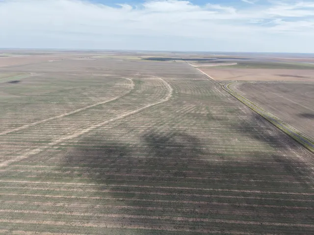 $1,092,420 | 364.14 Acres Pullman Road, Claude, TX 79019