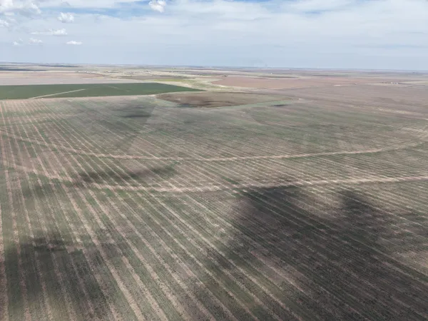 a view of beach and ocean