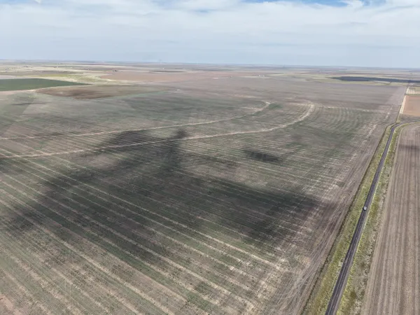 a view of beach and ocean