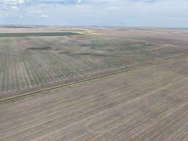 $1,092,420 | 364.14 Acres Pullman Road, Claude, TX 79019