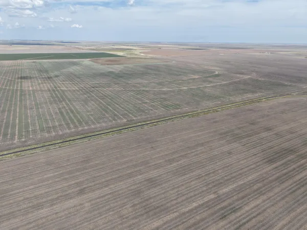 a view of empty room with floor to ceiling window