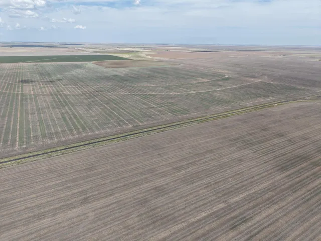 $1,092,420 | 364.14 Acres Pullman Road, Claude, TX 79019