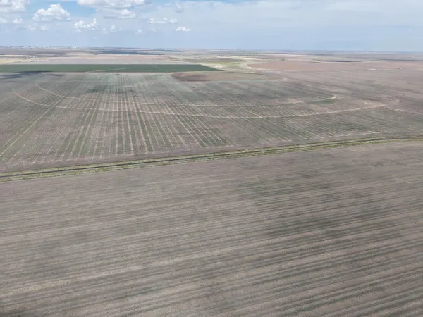 a view of an ocean beach