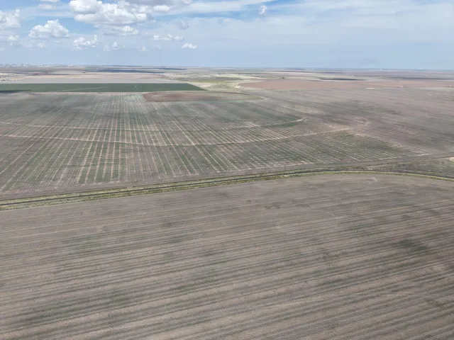 $1,092,420 | 364.14 Acres Pullman Road, Claude, TX 79019