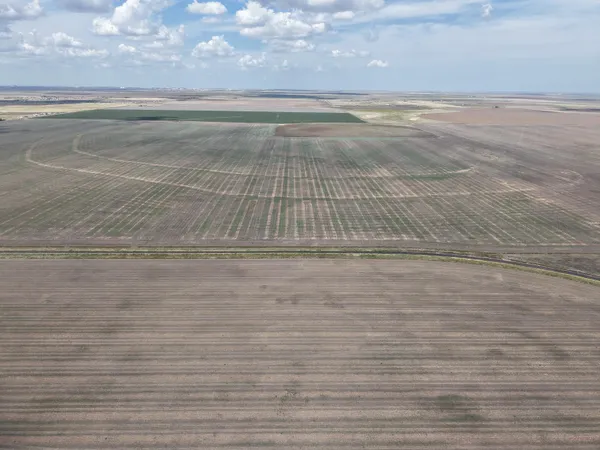 a view of an ocean beach