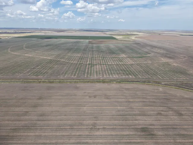 $1,092,420 | 364.14 Acres Pullman Road, Claude, TX 79019