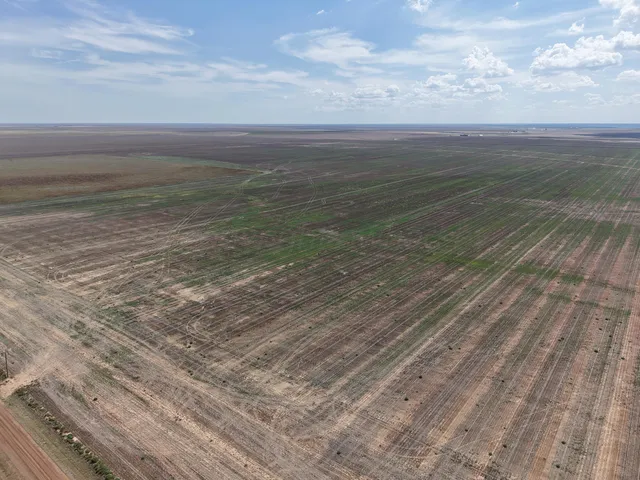 $1,092,420 | 364.14 Acres Pullman Road, Claude, TX 79019