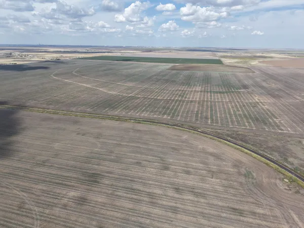 a view of water heater and hardwood floor