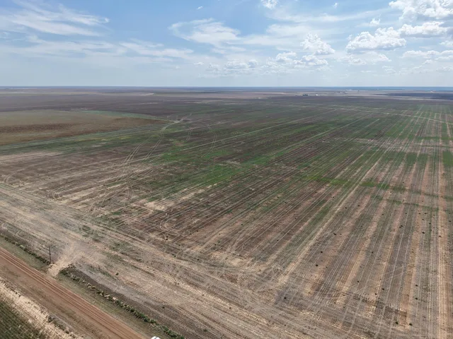 $1,092,420 | 364.14 Acres Pullman Road, Claude, TX 79019
