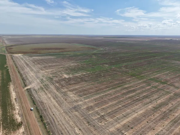 a view of an ocean and beach