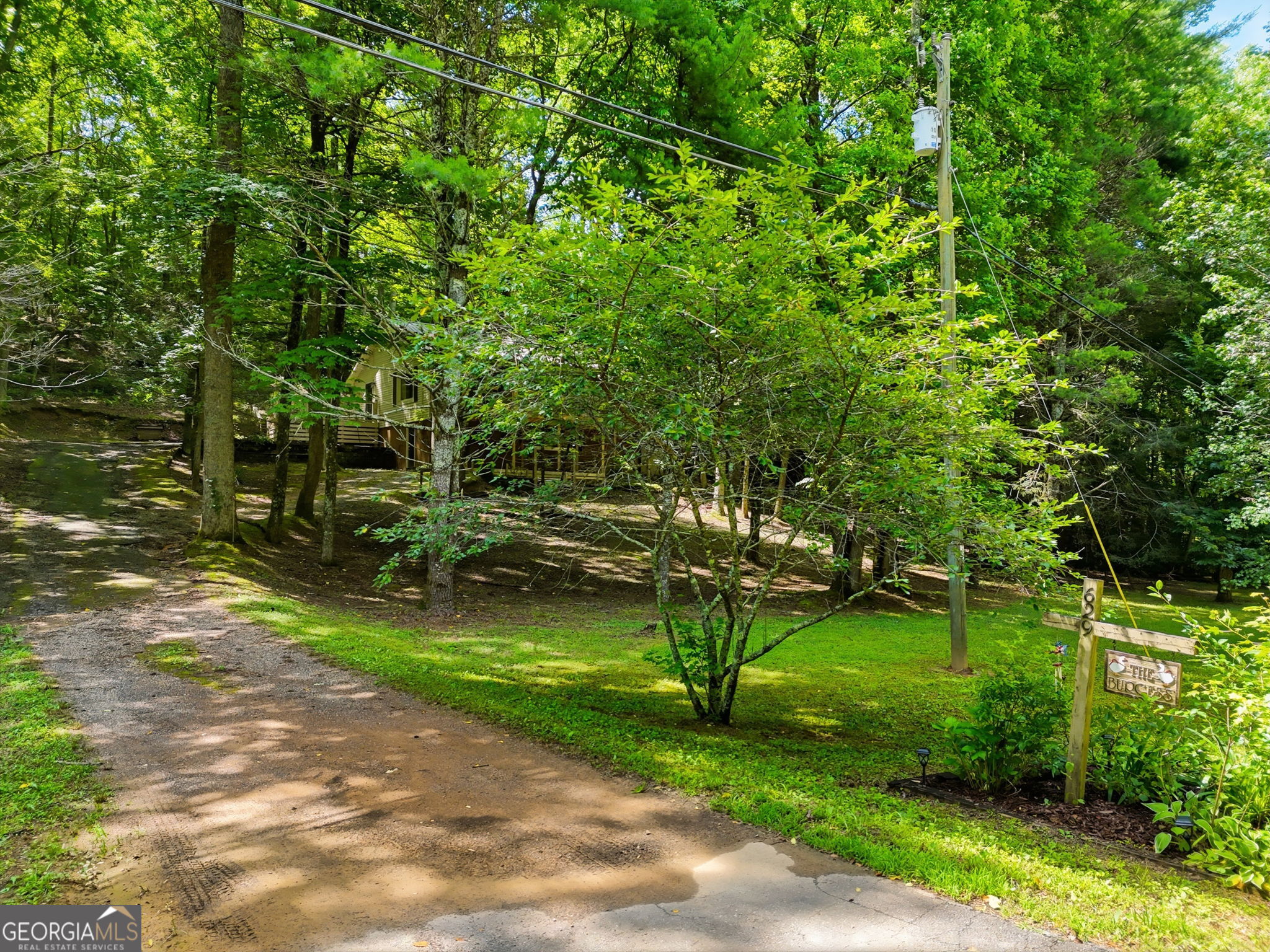 629 Goose Island Road Cherry Log, GA 30522 - Photo 42 of 52 a view of a park