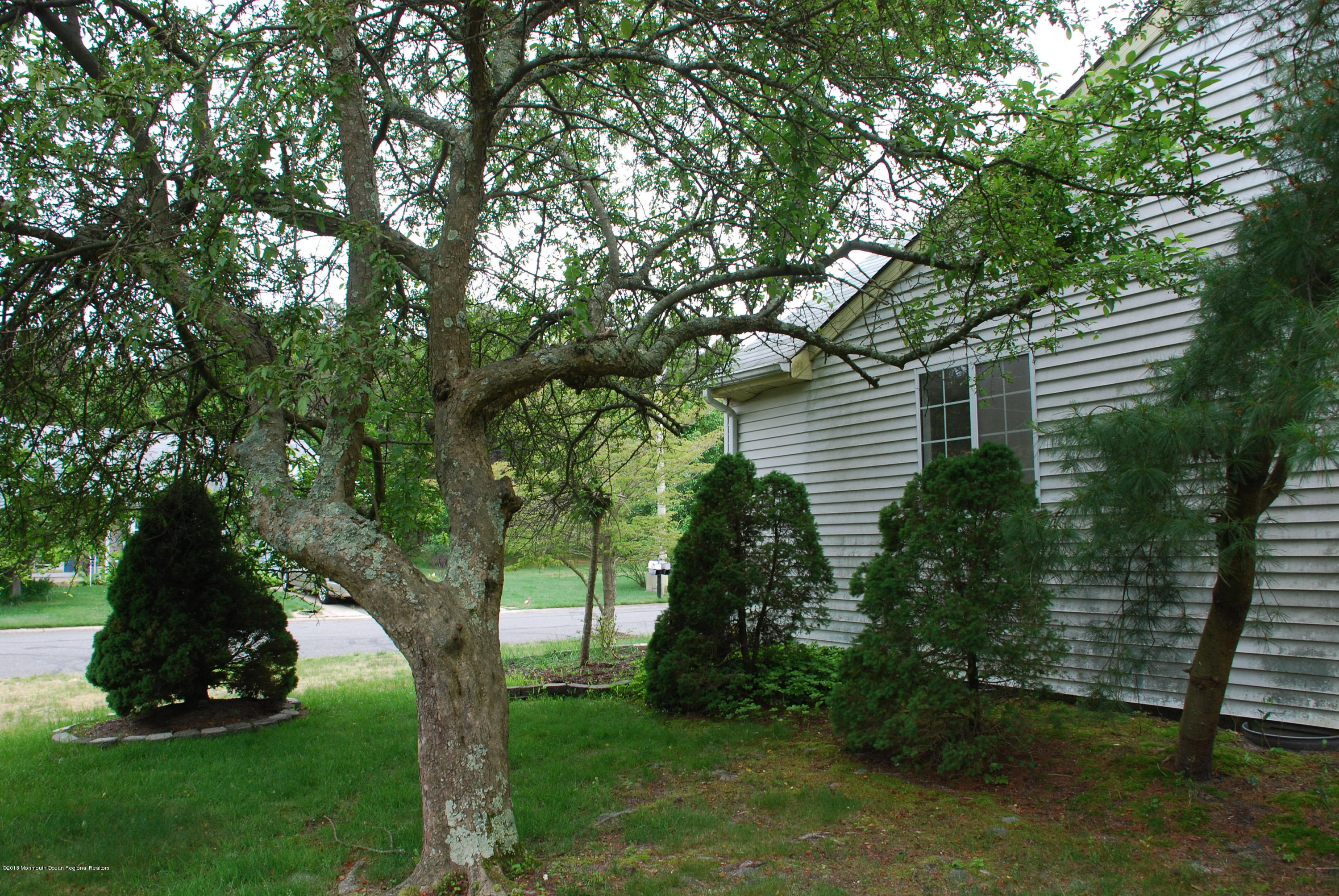 75 Sunset Road Whiting, NJ 08759 - Photo 4 of 28 DSC_1599