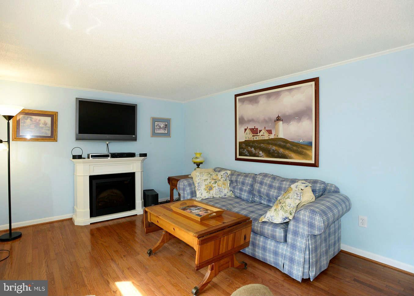 295 North Clear Ridge Road Union Bridge, MD 21791 - Photo 3 of 17 a living room with furniture a flat screen tv and a fireplace