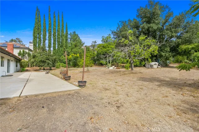 a view of a yard with a tree