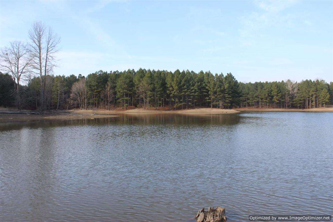 0 Eddisville Road Durant, MS 39063 - Photo 1 of 23 Photo 1