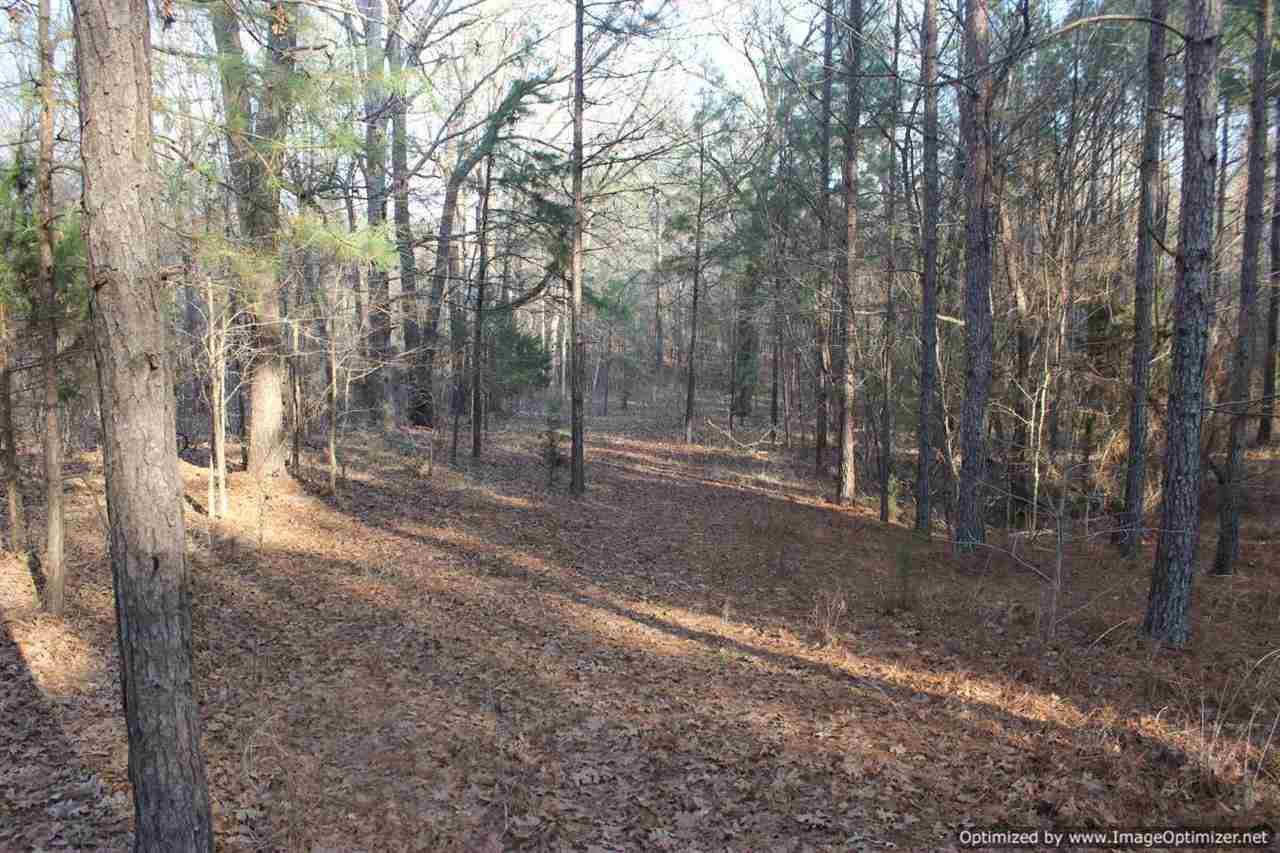 0 Eddisville Road Durant, MS 39063 - Photo 11 of 23 Photo 11
