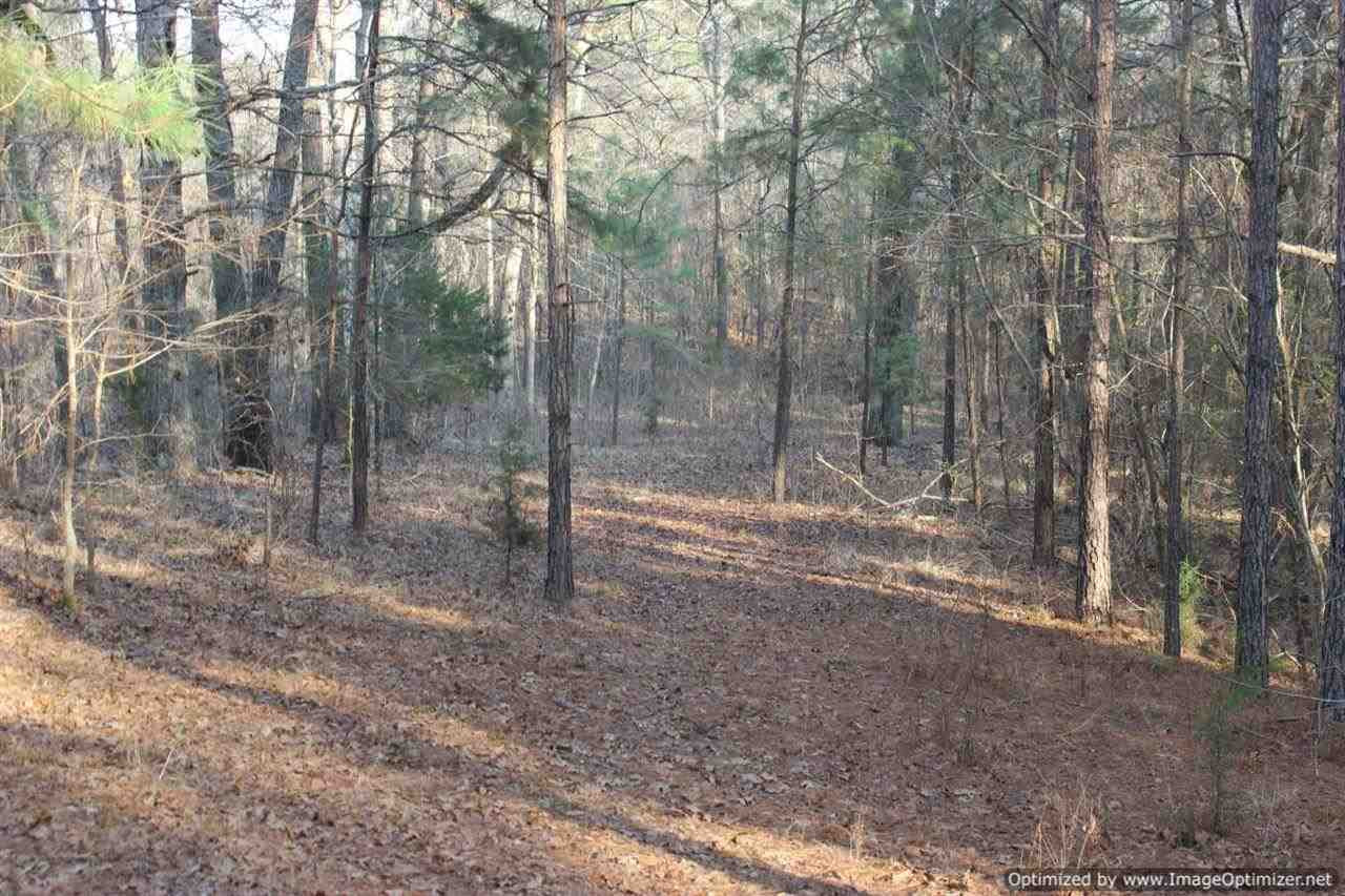 0 Eddisville Road Durant, MS 39063 - Photo 12 of 23 Photo 12
