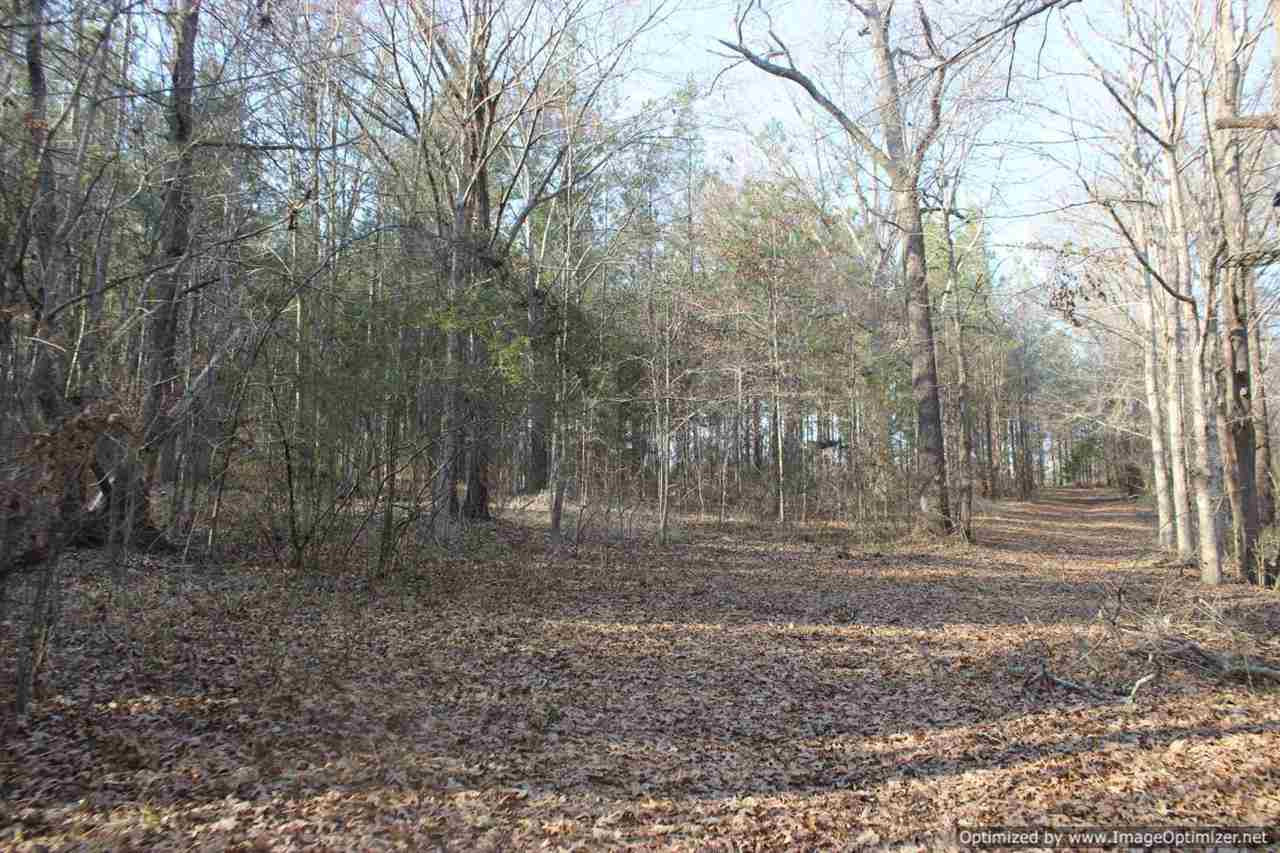 0 Eddisville Road Durant, MS 39063 - Photo 13 of 23 Photo 13