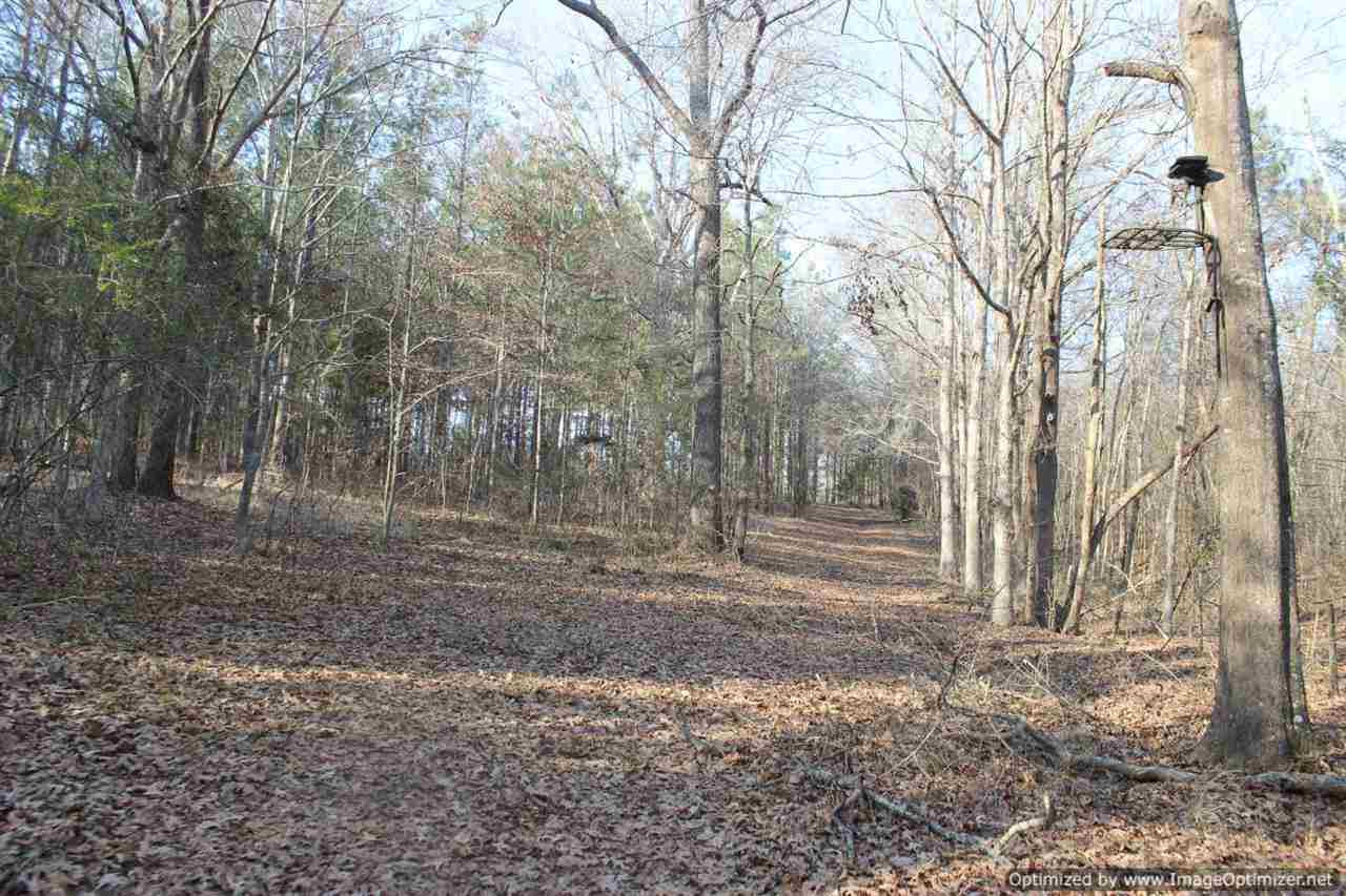 0 Eddisville Road Durant, MS 39063 - Photo 15 of 23 Photo 15