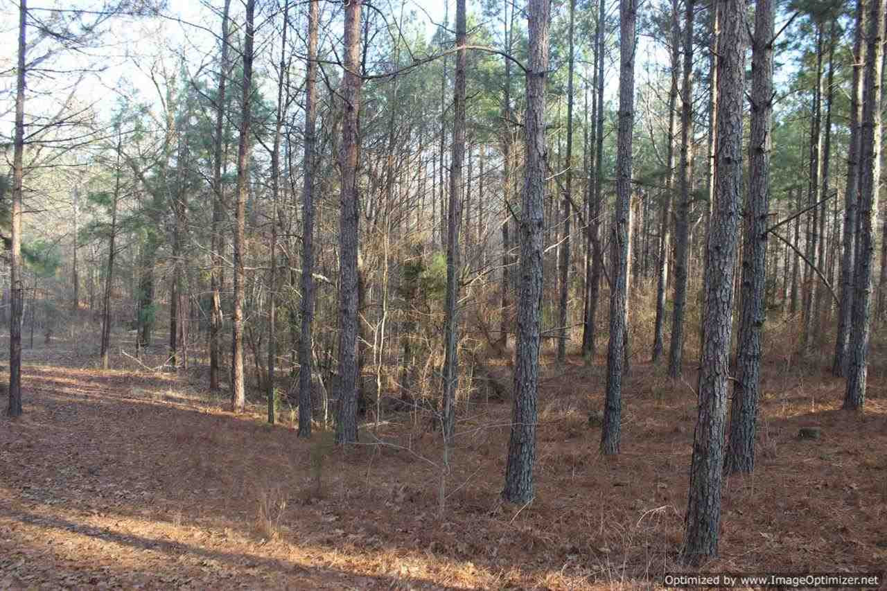0 Eddisville Road Durant, MS 39063 - Photo 16 of 23 Photo 16