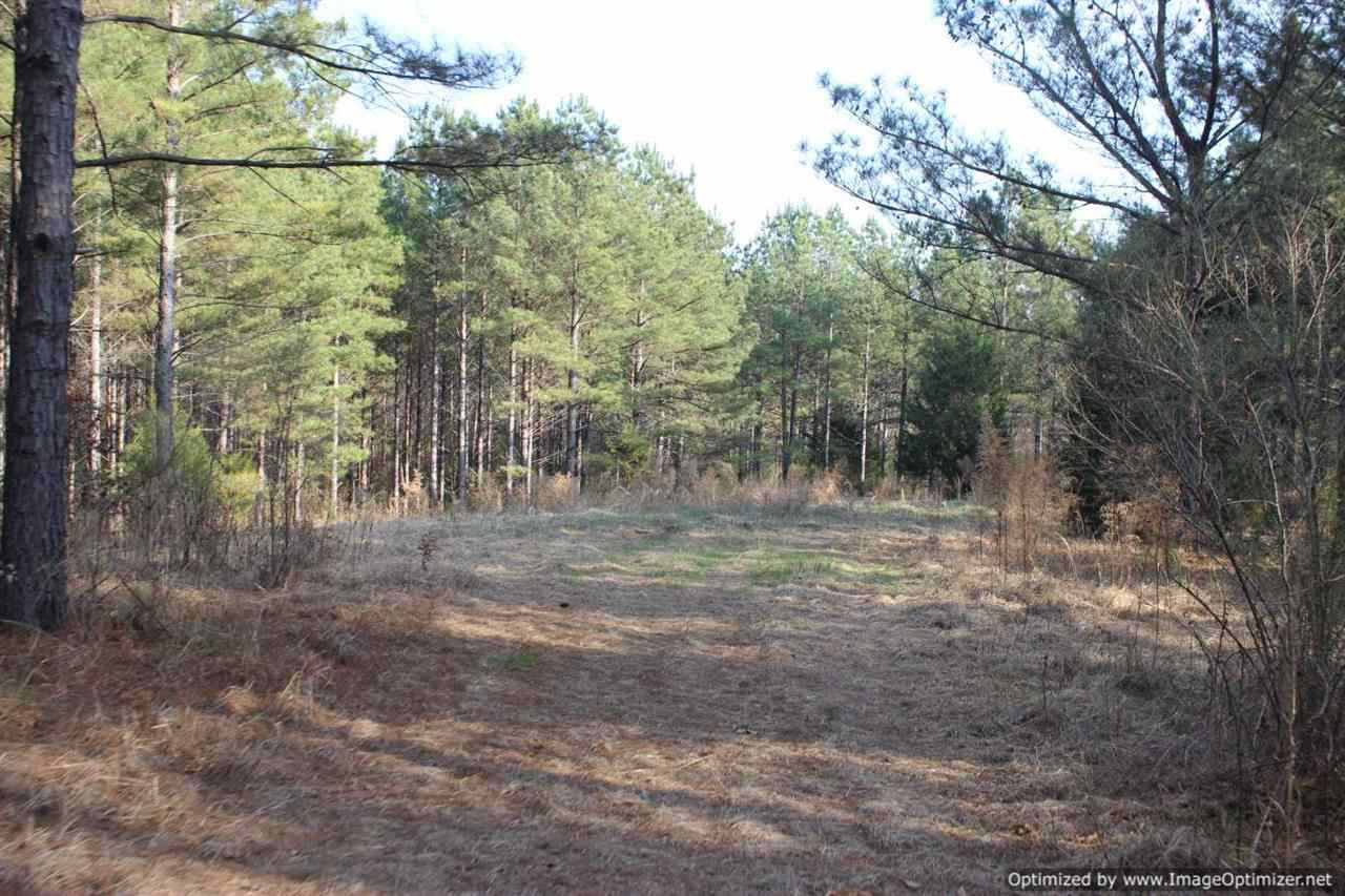 0 Eddisville Road Durant, MS 39063 - Photo 17 of 23 Photo 17
