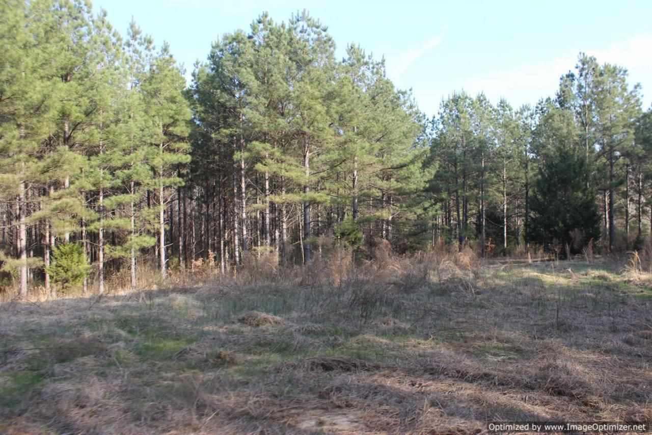 0 Eddisville Road Durant, MS 39063 - Photo 18 of 23 Photo 18