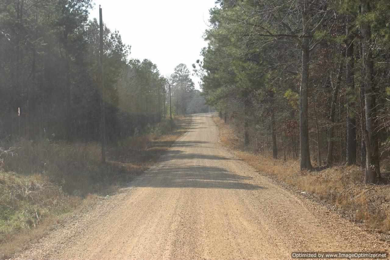 0 Eddisville Road Durant, MS 39063 - Photo 19 of 23 Photo 19