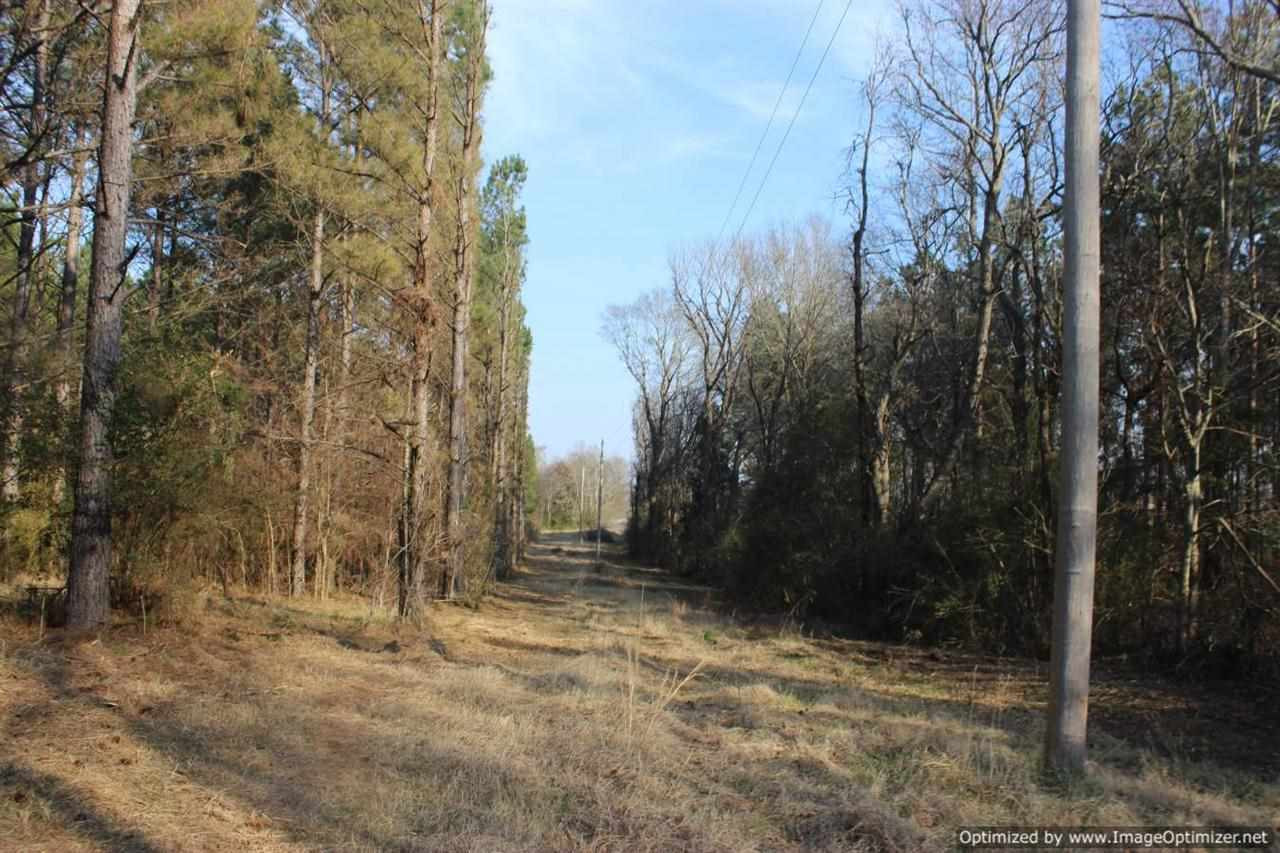 0 Eddisville Road Durant, MS 39063 - Photo 20 of 23 Photo 20