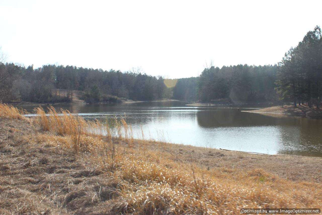 0 Eddisville Road Durant, MS 39063 - Photo 2 of 23 Photo 2