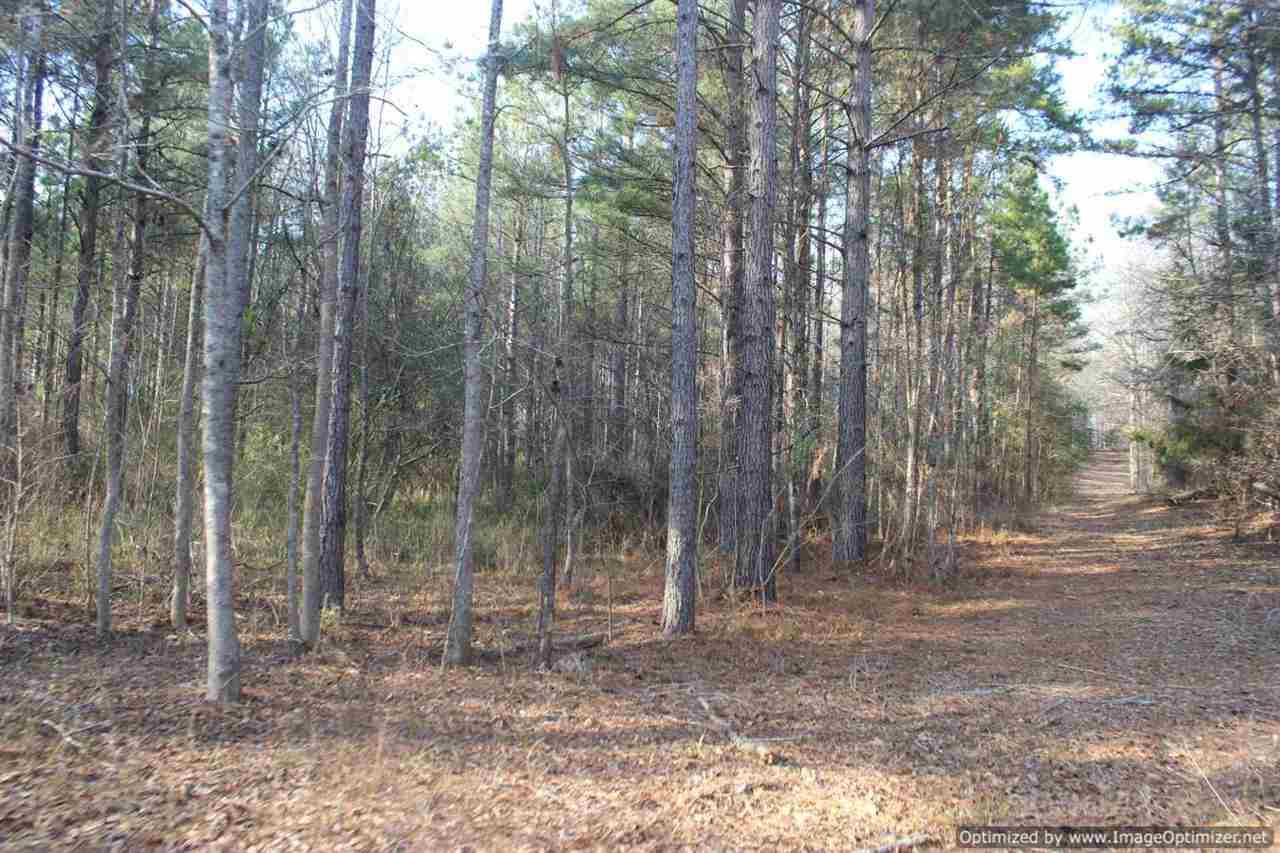0 Eddisville Road Durant, MS 39063 - Photo 21 of 23 Photo 21