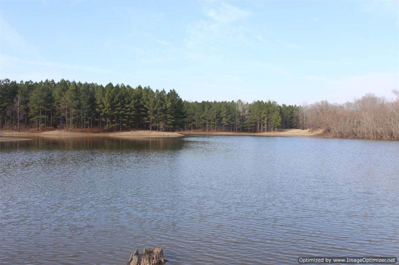 0 Eddisville Road Durant, MS 39063 - Photo 3 of 23 Photo 3