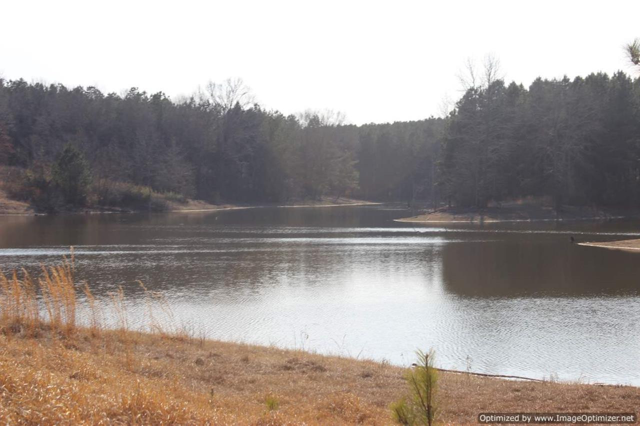 0 Eddisville Road Durant, MS 39063 - Photo 4 of 23 Photo 4