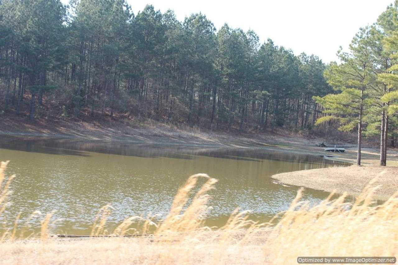 0 Eddisville Road Durant, MS 39063 - Photo 5 of 23 Photo 5