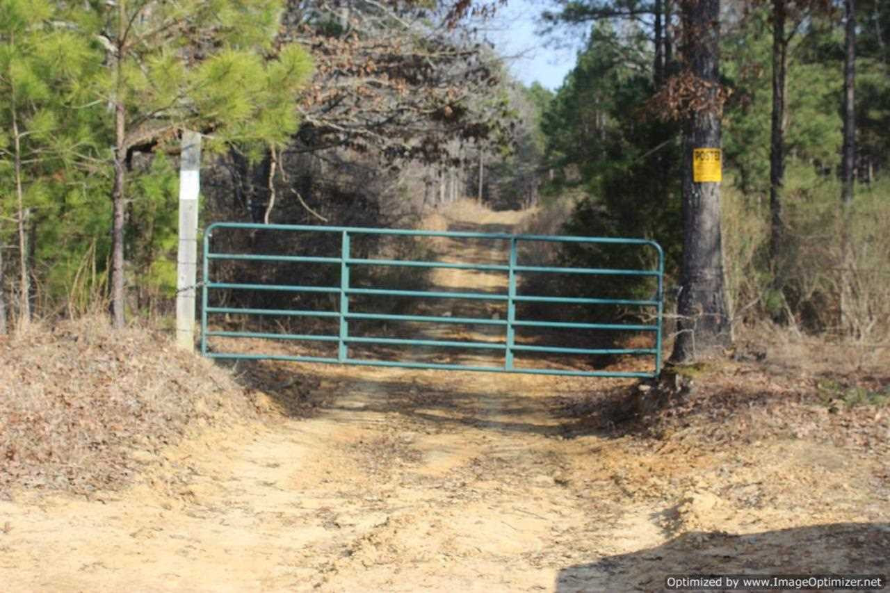 0 Eddisville Road Durant, MS 39063 - Photo 6 of 23 Photo 6