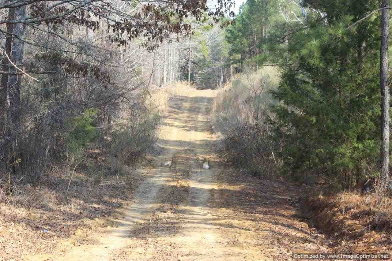 0 Eddisville Road Durant, MS 39063 - Photo 7 of 23 Photo 7