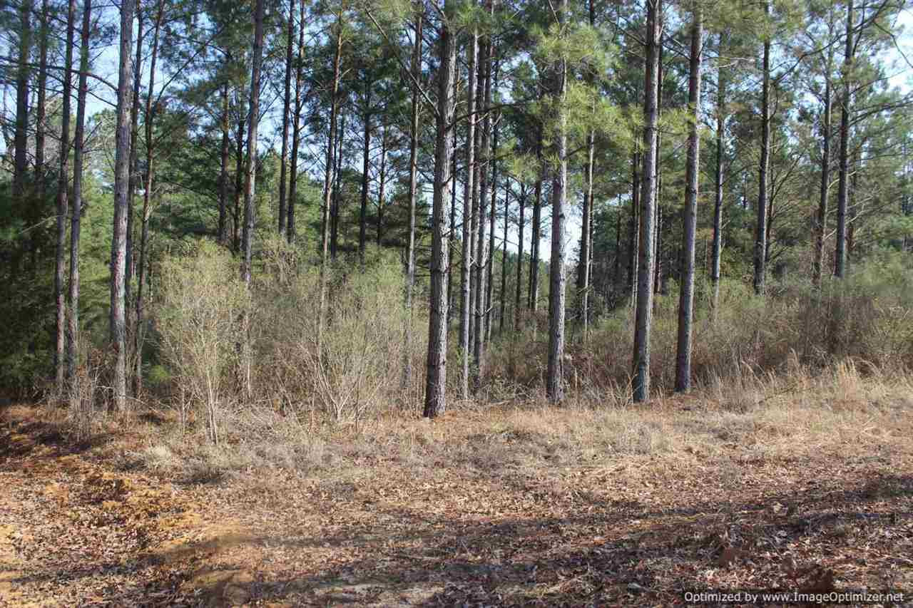 0 Eddisville Road Durant, MS 39063 - Photo 8 of 23 Photo 8