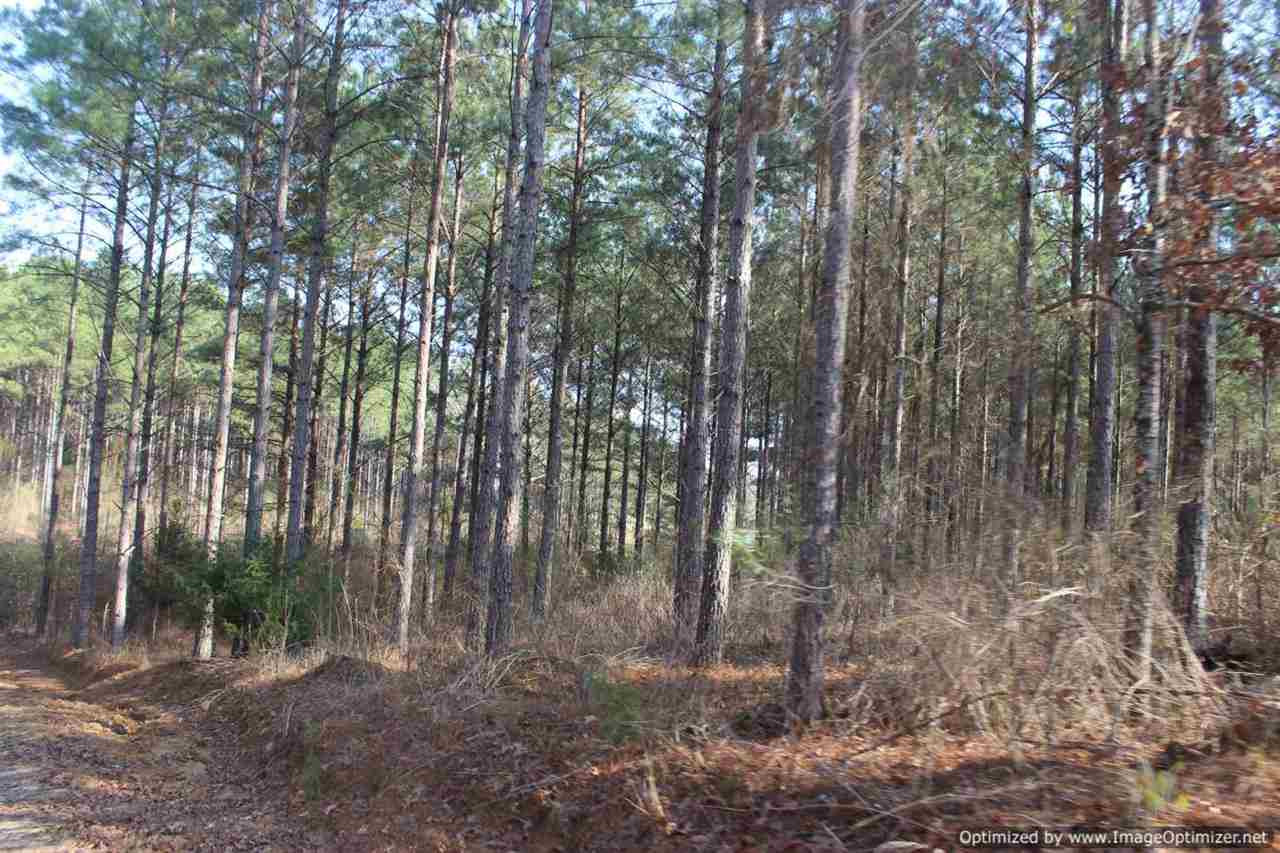 0 Eddisville Road Durant, MS 39063 - Photo 9 of 23 Photo 9
