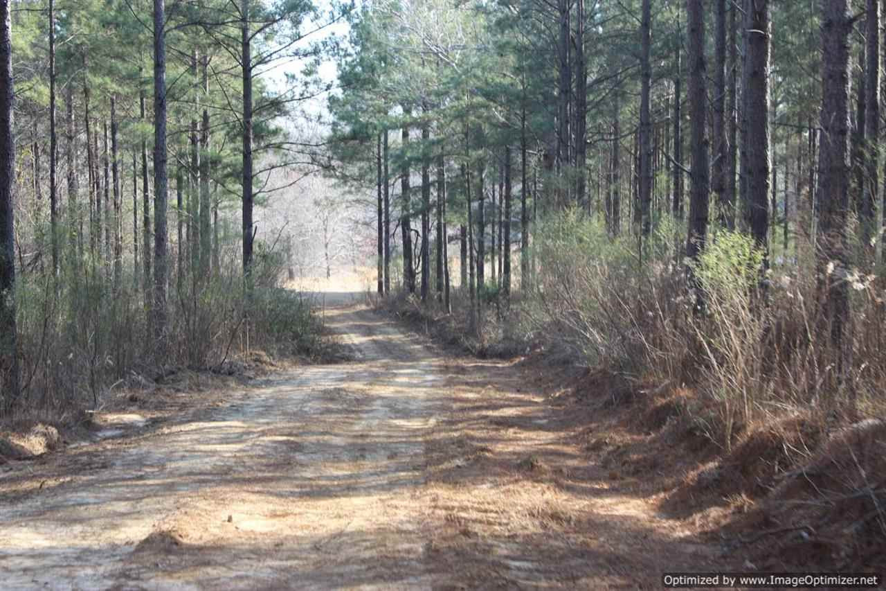 0 Eddisville Road Durant, MS 39063 - Photo 10 of 23 Photo 10