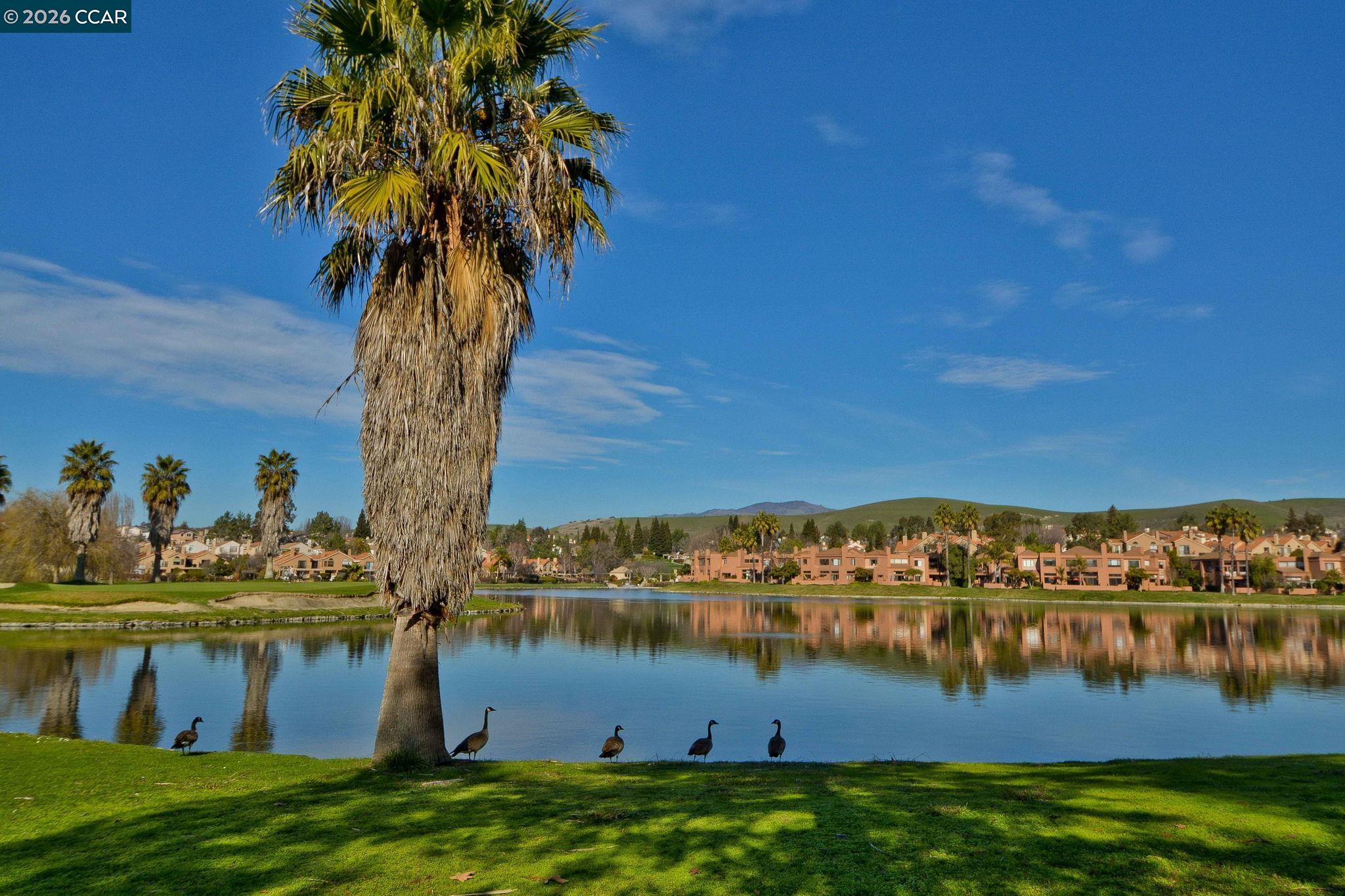 3113 Lakemont Drive, Unit 1 San Ramon, CA 94582 - Photo 31 of 36