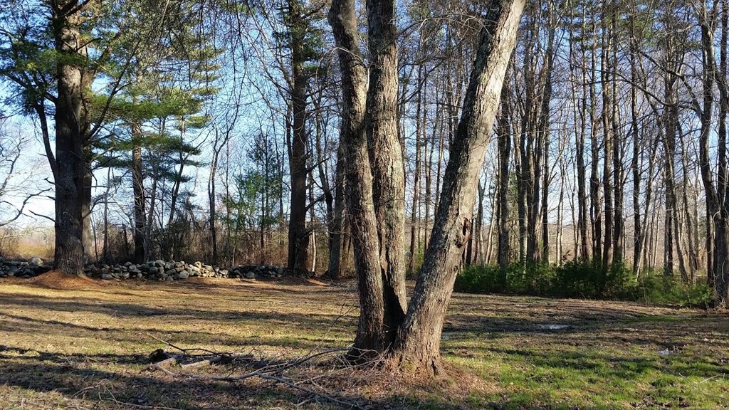 44 Parsonage Road Plympton, MA 02367 - Photo 19 of 27