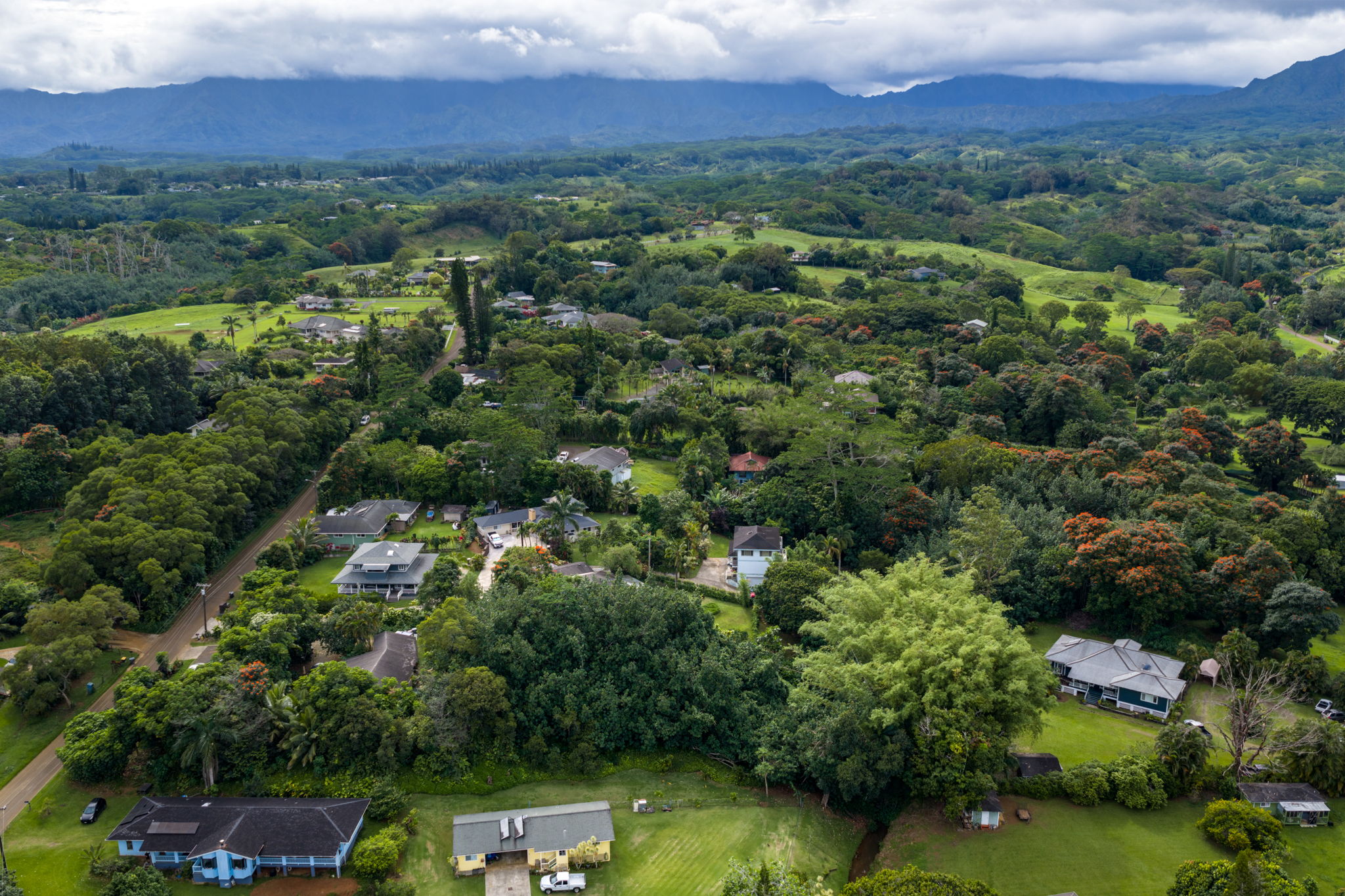 156 B Kalama Road Kapaa, HI 96746 - Photo 13 of 21 a view of a city with lush green forest