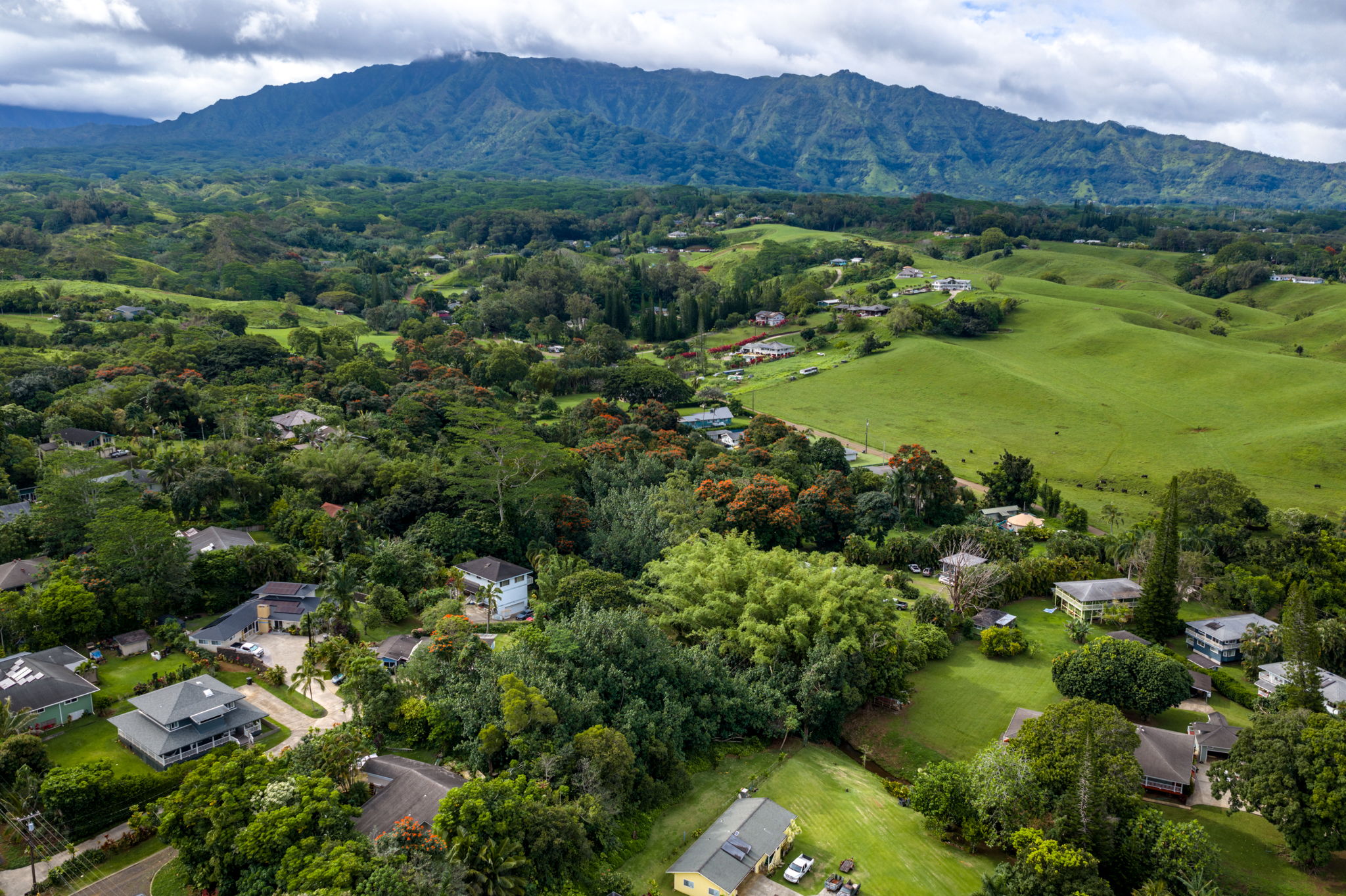 156 B Kalama Road Kapaa, HI 96746 - Photo 14 of 21 a view of a lush green hillside and houses